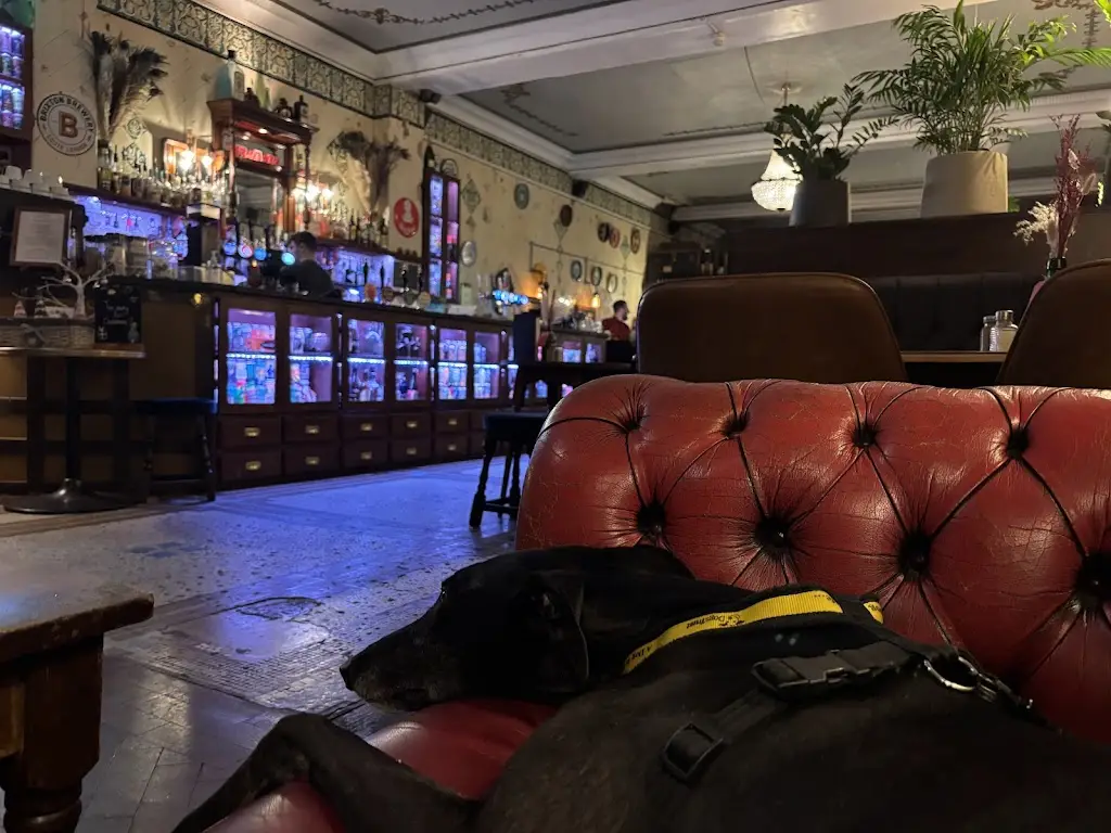 Johannes Weirich_Shinner and Sudtone_Sutton_review