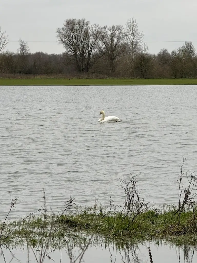 Brenna Roberts_Old Ferry Boat_Swavesey_recensione