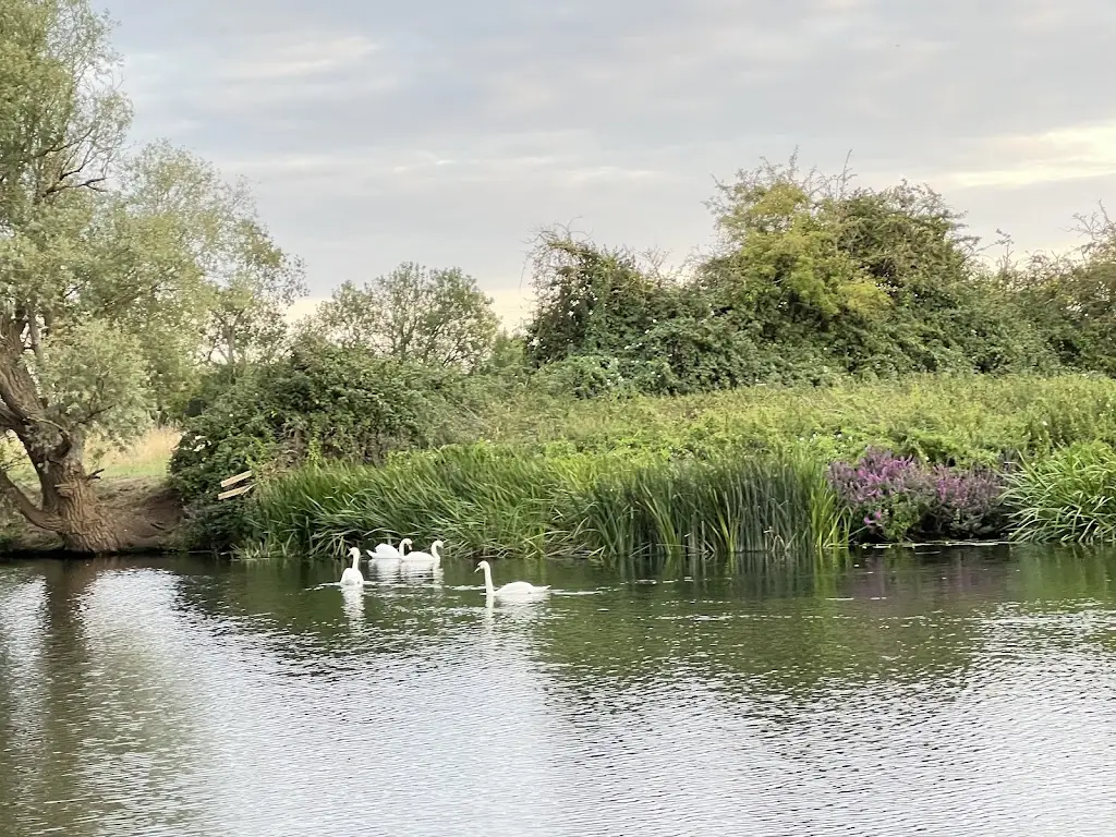 Annie “ACDC” Martin_Old Ferry Boat_Swavesey_recensione