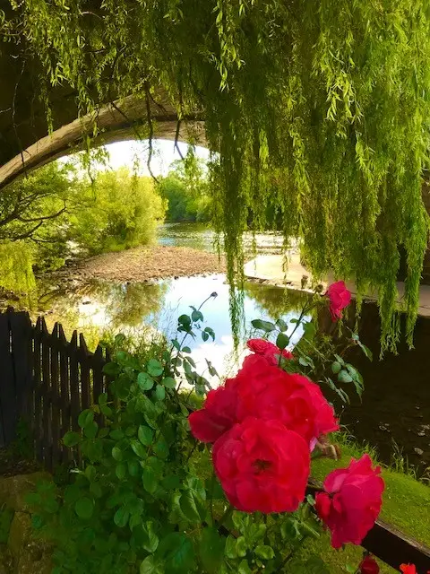 The Bull Inn_Tanfield_slider_image_3