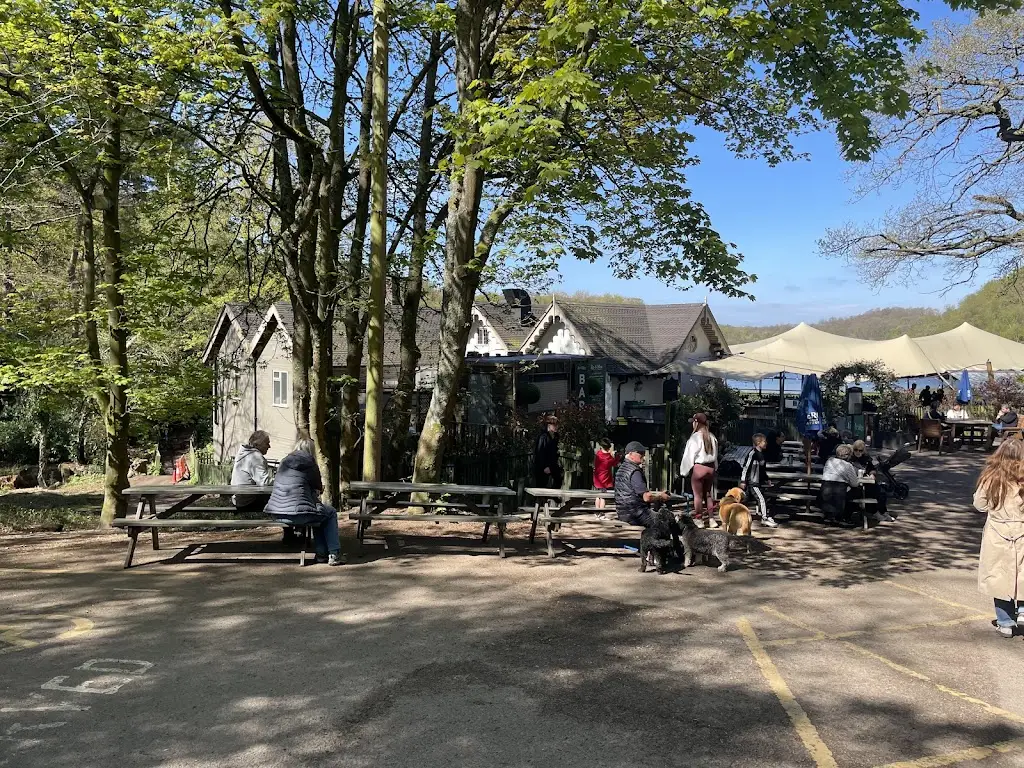 John Ward_The Bracebridge_Sutton Coldfield_review