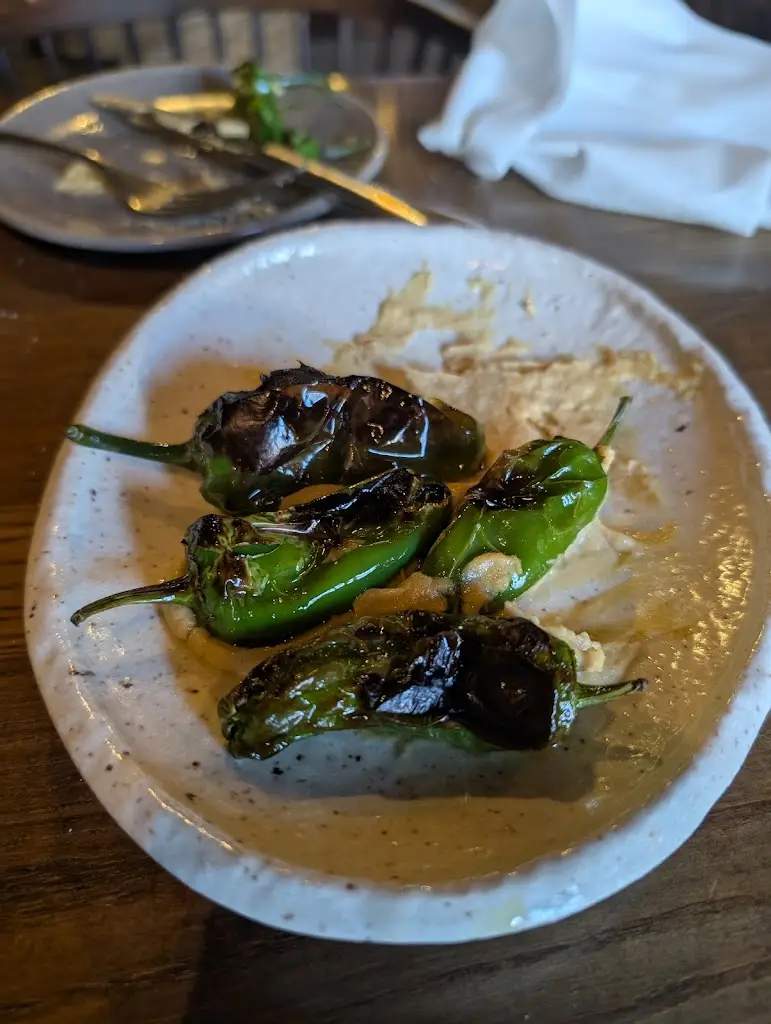 Phily_The Cornish Arms_Tavistock_review