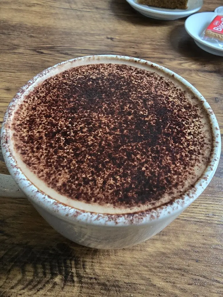 Purple Armadillo_Church Lane_Tavistock_review