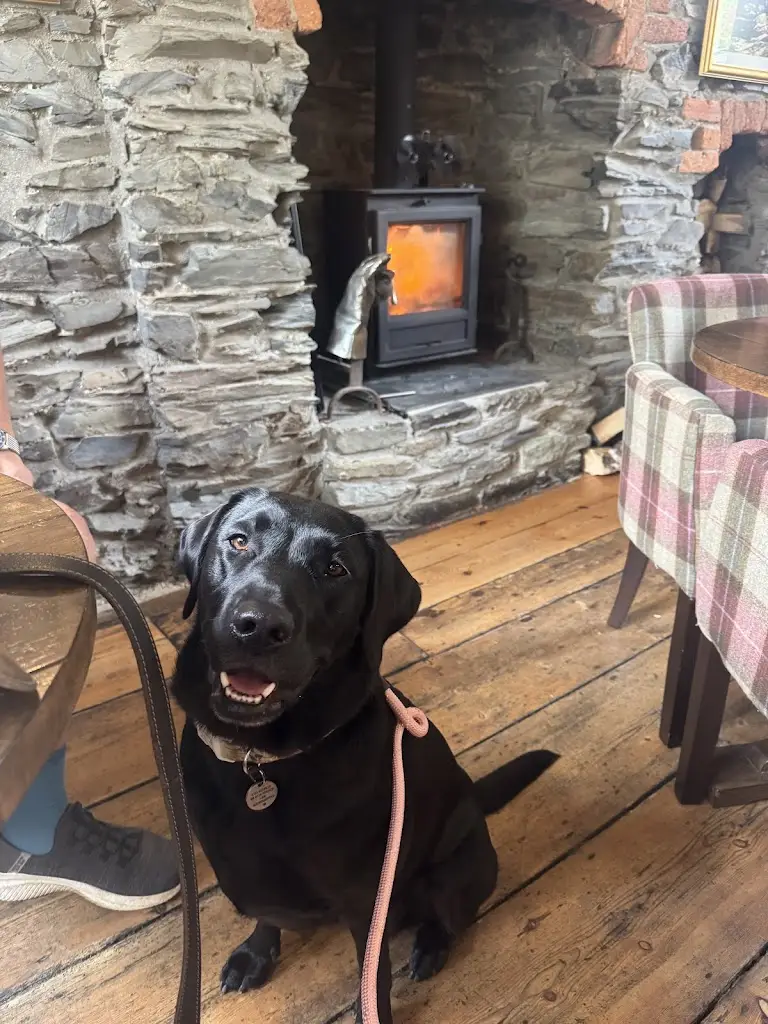 Faye Rowbury_The Market Inn_Tavistock_review