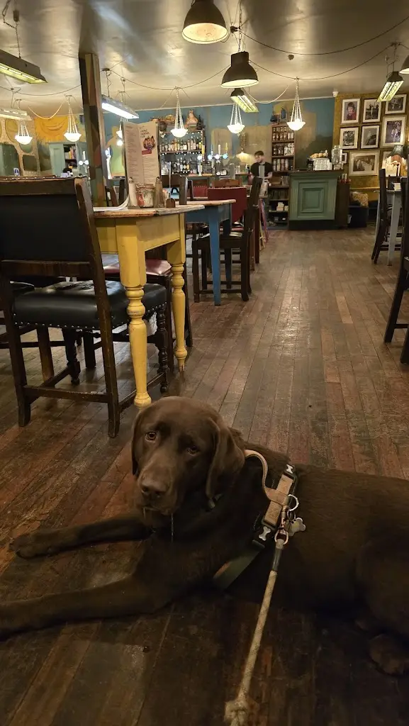 Joel_Novello Lounge_Telford_review