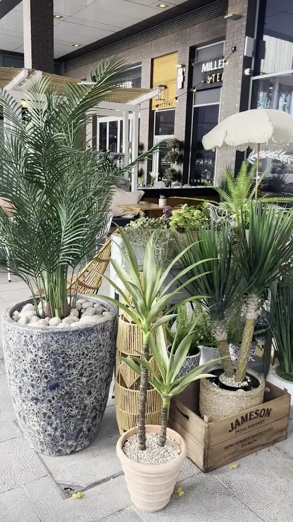 Willow Telford_Telford_slider_image_2