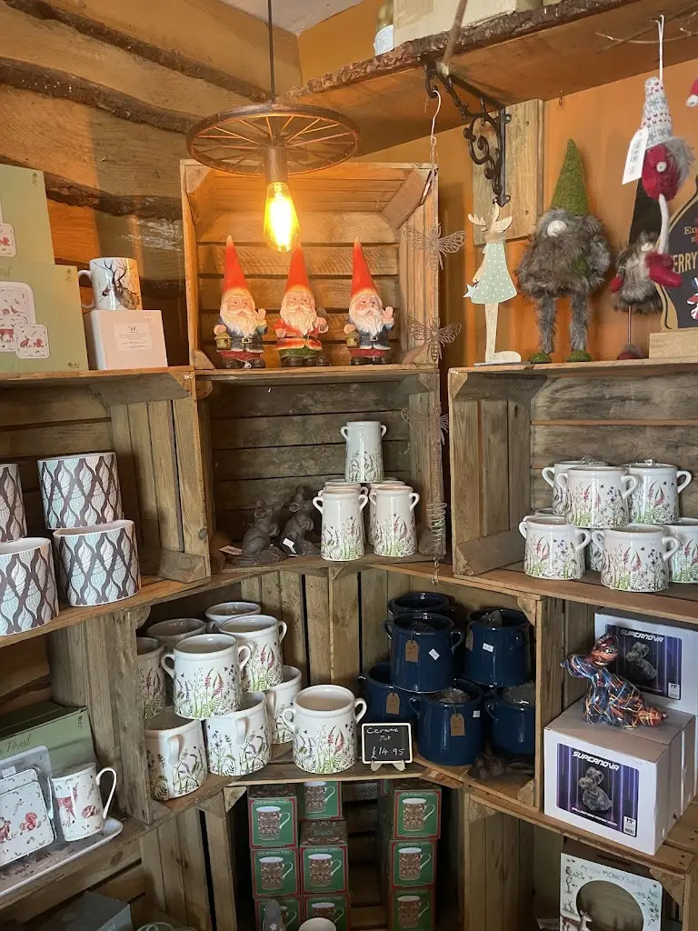 Daniel Cope_The Bears Trading Company_Tankerton_recensione