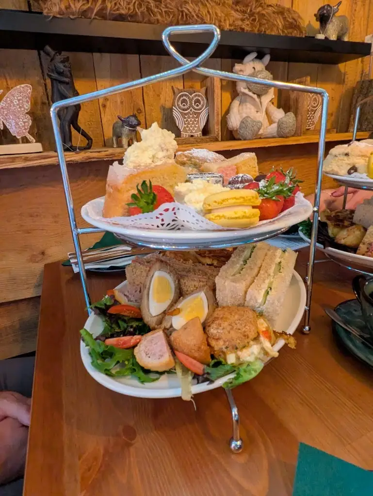 Laura Johnson_The Bears Trading Company_Tankerton_recensione