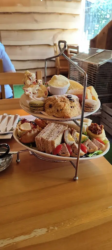 Roland Mende_The Bears Trading Company_Tankerton_recensione