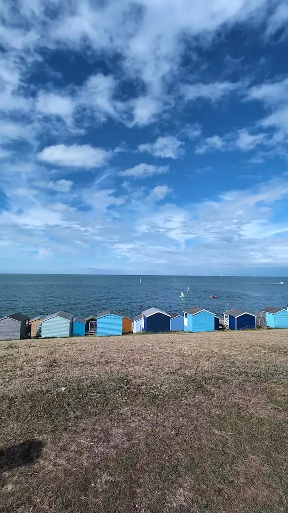 Japninder Singh_Ossies Best Fish and Chips_Tankerton_review