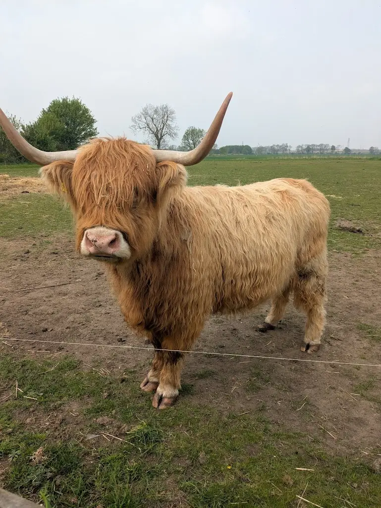 Rachel Robinson_Knotts of Tempsford_Tempsford_review