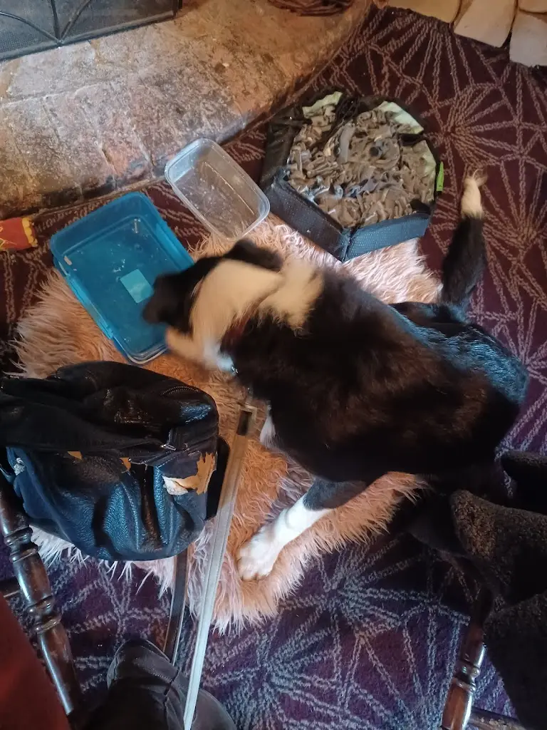 KELLY HENDERSON_The Gate Hangs Well_Syston_review