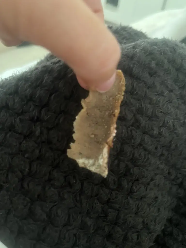 E Xx_Frydales Of Syston_Syston_review