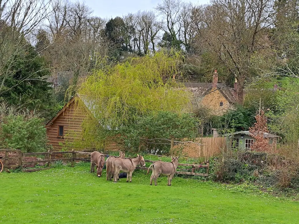 GT B_The New Inn_Beaminster_review