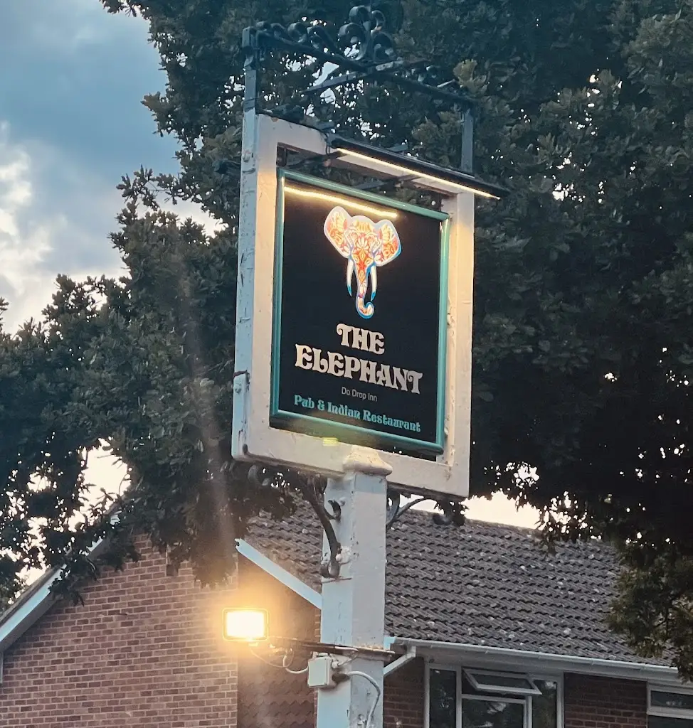 Oliver Butler_The Elephant Pub and Indian Restaurant_Tadley_review