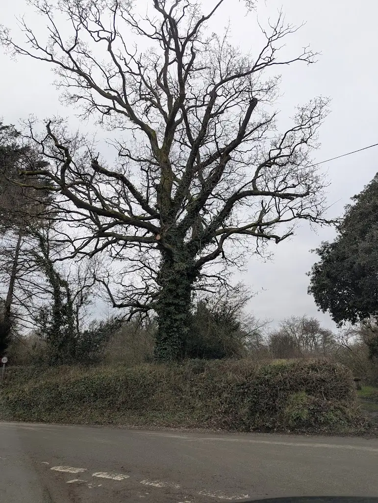 Beaminster Social Club_Beaminster_slider_image_1