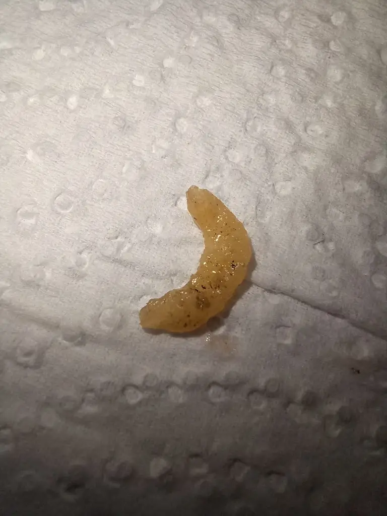 Wierd But True_Amei _Beaminster_review