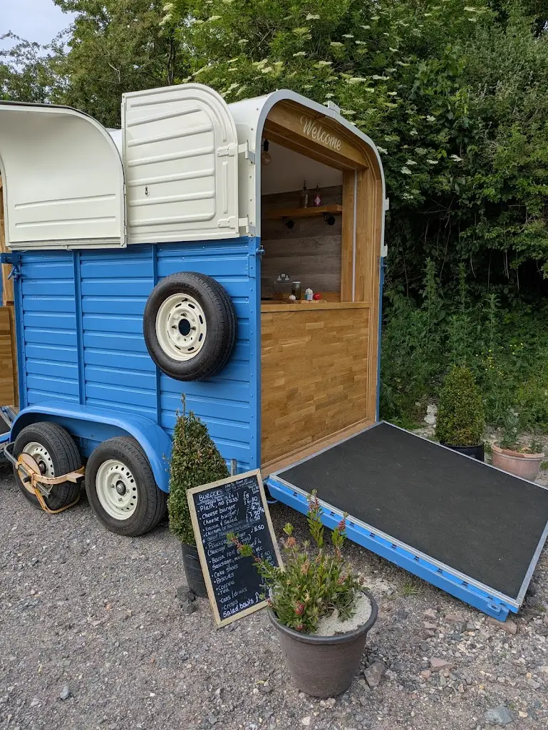 Harry Perkin_The Roaming Fox_Beaminster_review