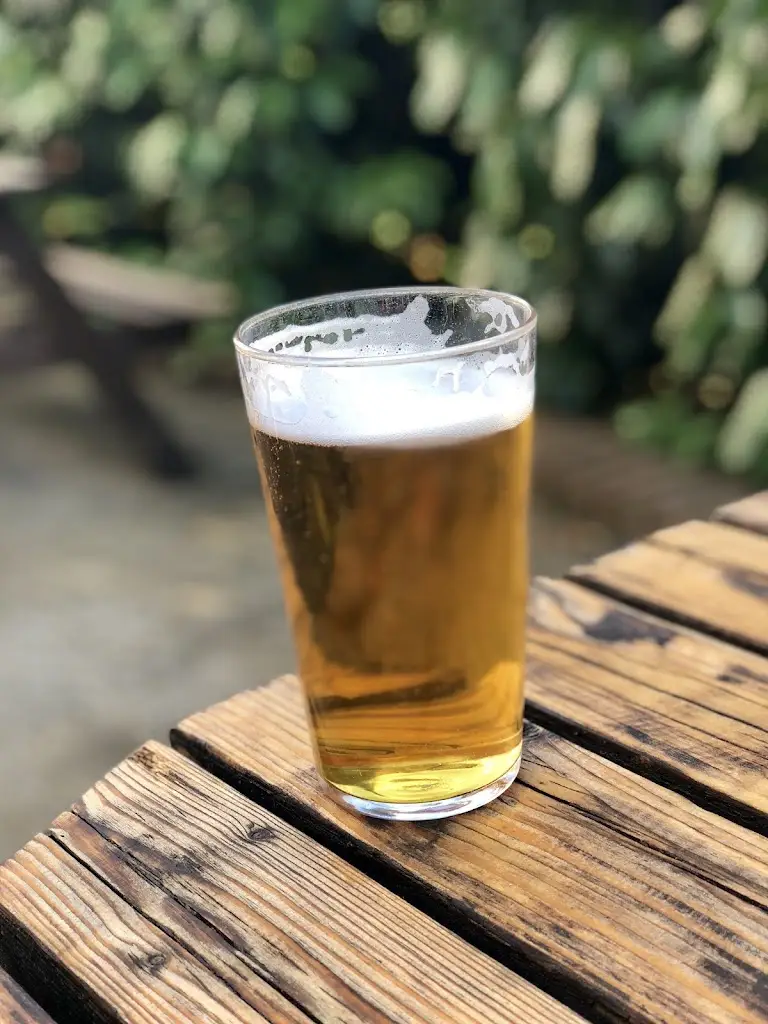 Menu_The Bull_Theydon Bois_image_9