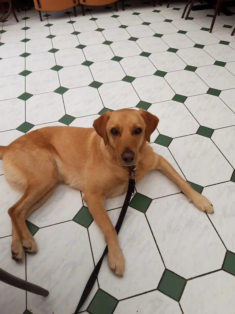 Jennifer Jackson_The Great British Diner at LS23 7FE_Thorp Arch_review