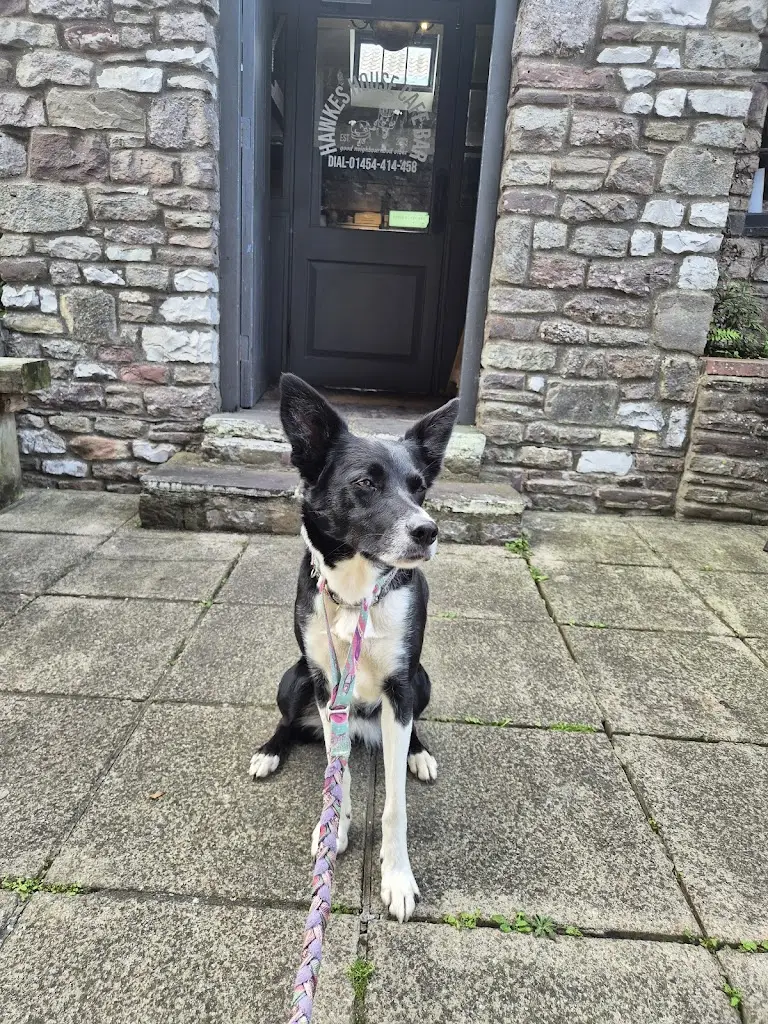 Angela Cairns_Hawkes House_Thornbury_reseña