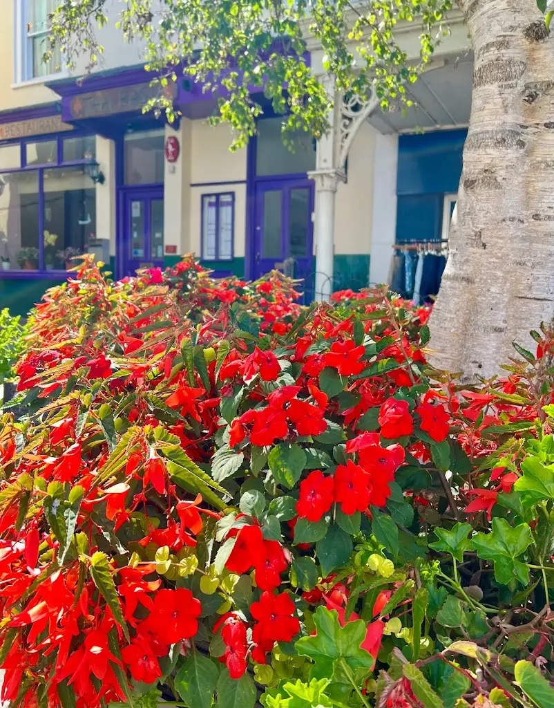 Thai Basil_Thornbury_slider_image_3