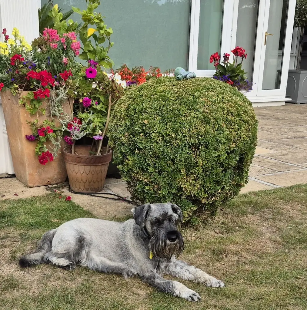 Kevin Gilling_Hillier Garden Centre Three Legged Cross_Three Legged Cross_review