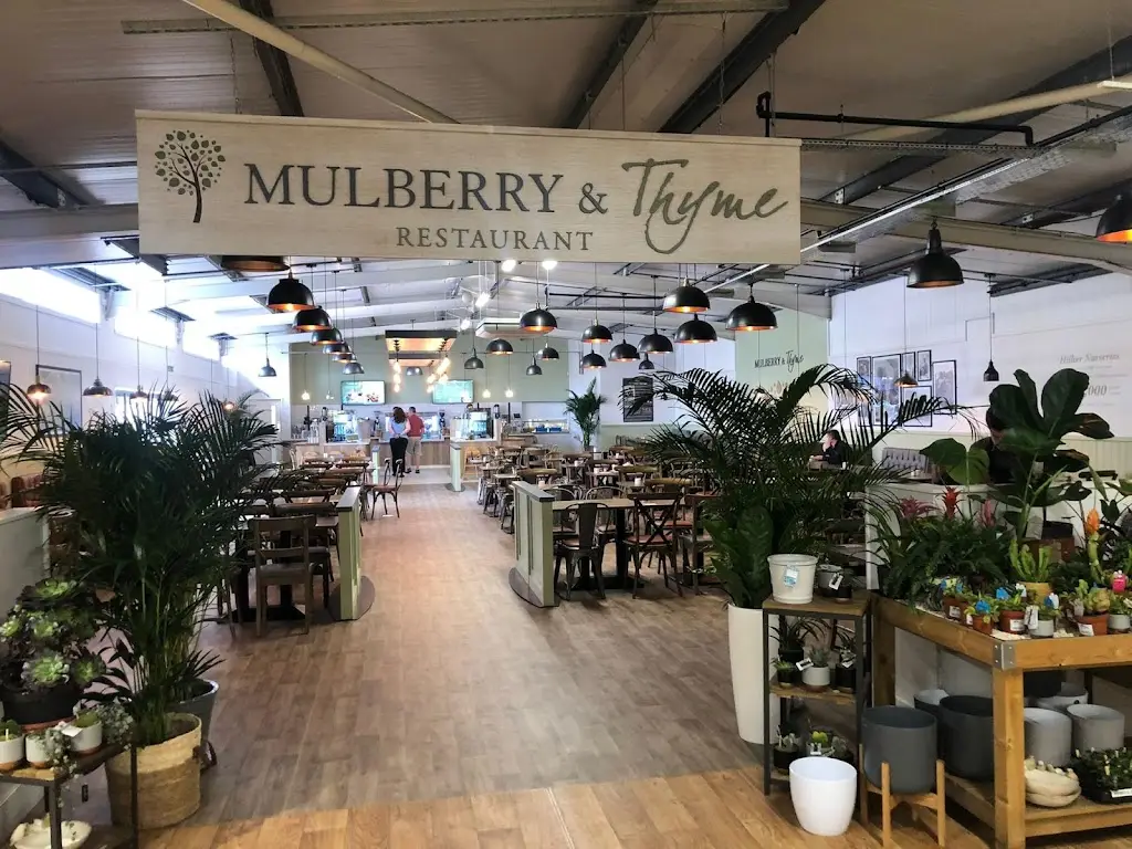 Mulberry & Thyme Three Legged Cross restaurant in Three Legged Cross