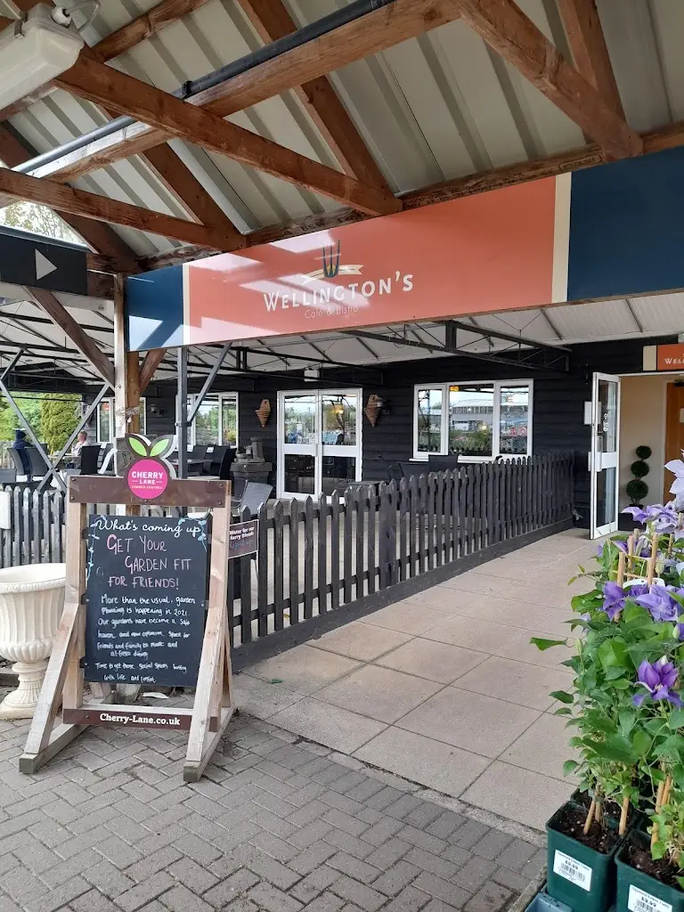 Susan Grindle_Wellington's Cafe & Bistro_Tickhill_review
