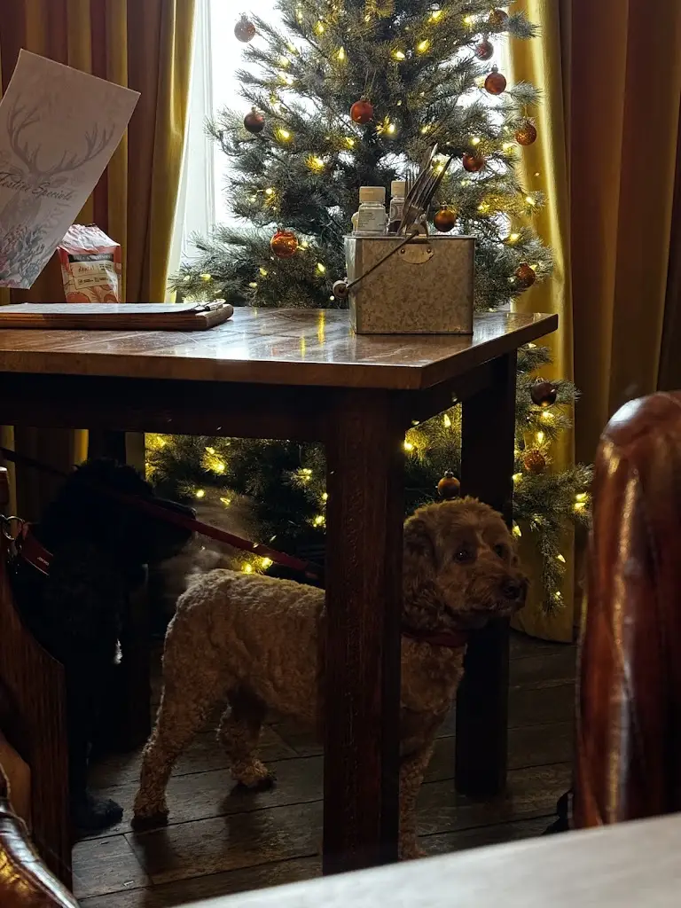 Lakshmi Narayanan_The Buck_Thornton Dale_recensione