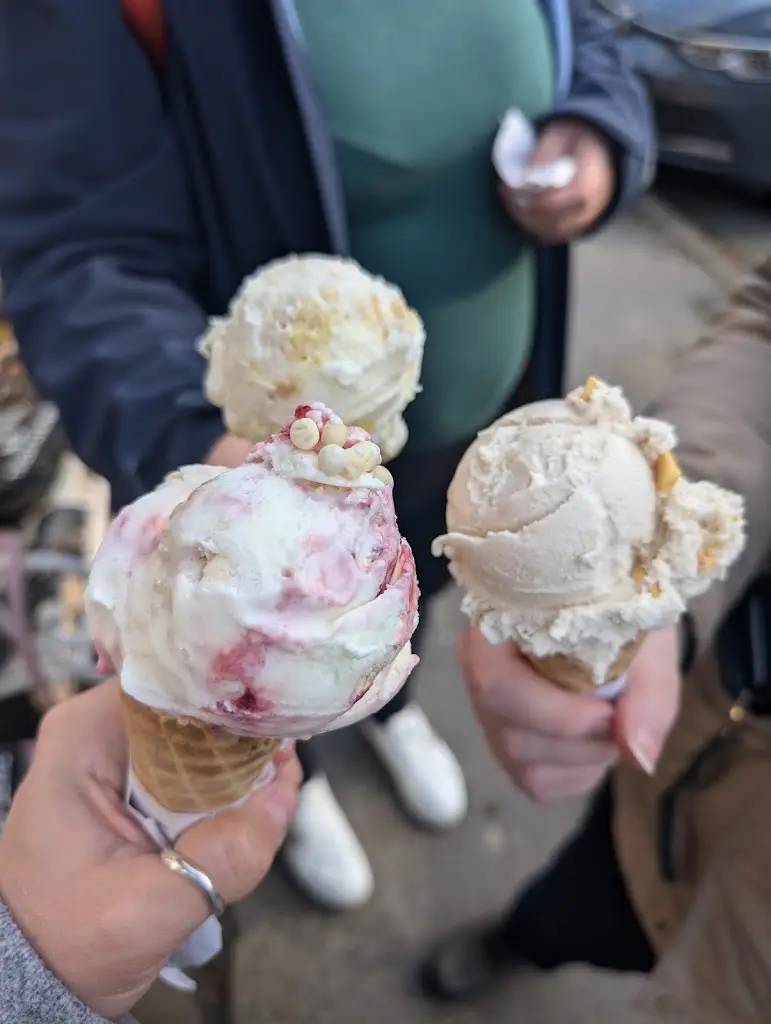 Menu_Balderson’s Ice Cream Parlour_Thornton Dale_image_9