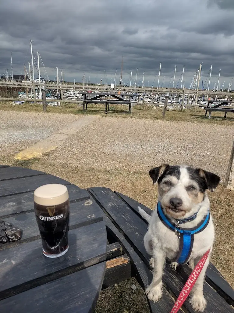 Tony Martin_The Harbour View | Takeaway In Tollesbury_Tollesbury_review