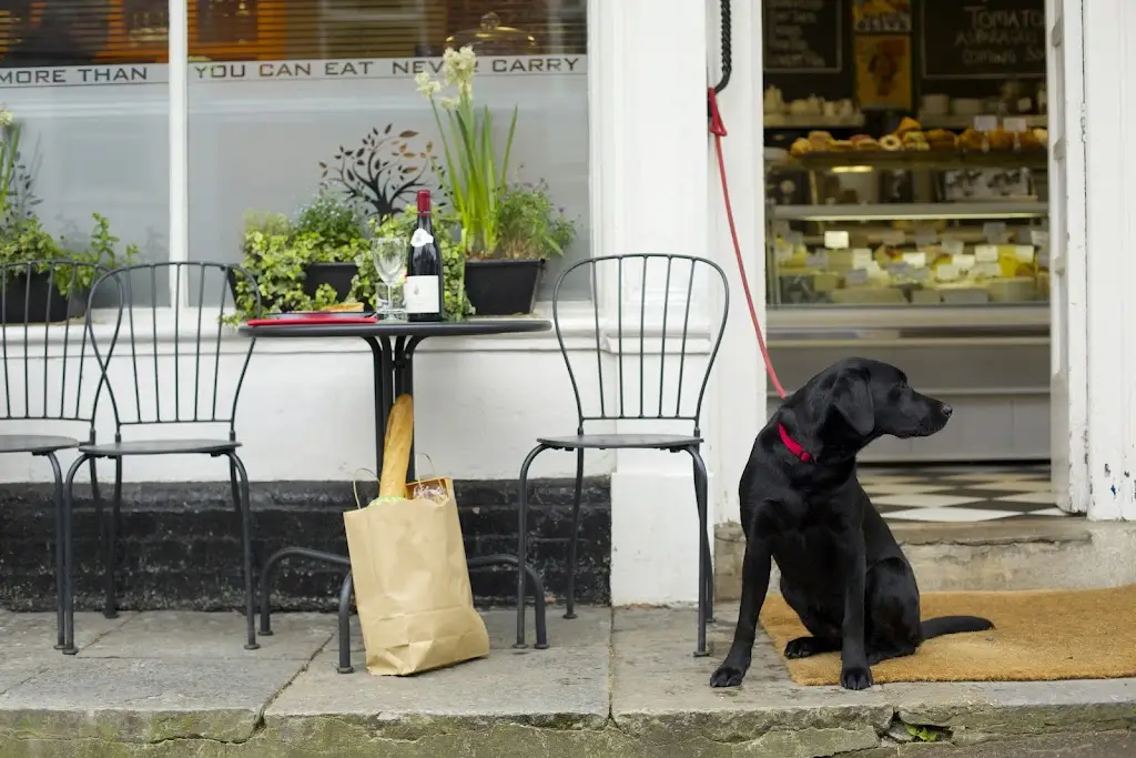 Tisbury Delicatessen restaurant in Tisbury