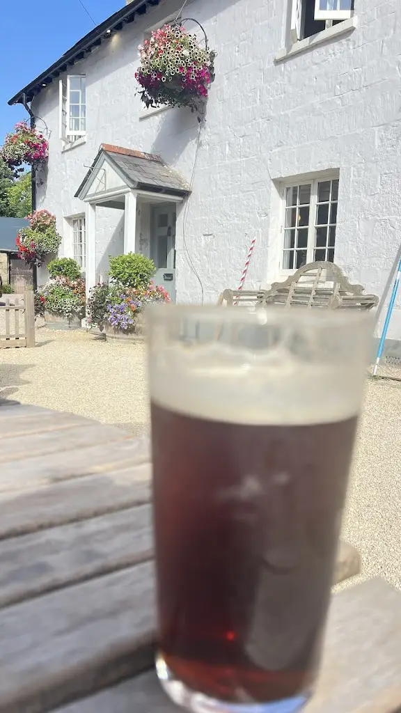 Nataliia Gumenna_The Royal Oak_Tisbury_review