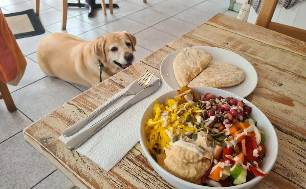 Simon Bainton_Vega_Tintagel_review