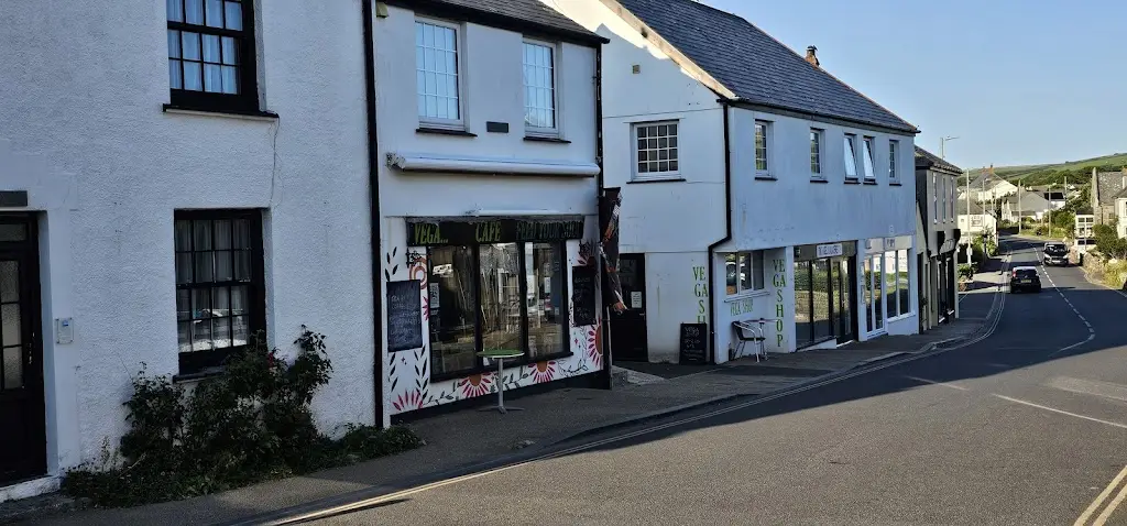 Sally Fearnley_Vega_Tintagel_review