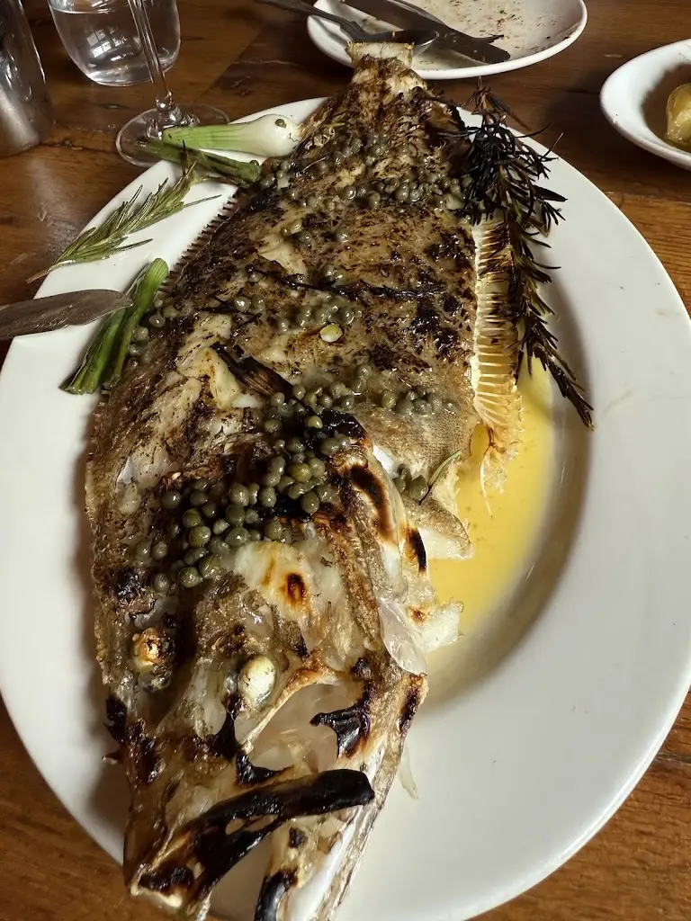 Jo Cowler_The Rocket Store_Tintagel_review