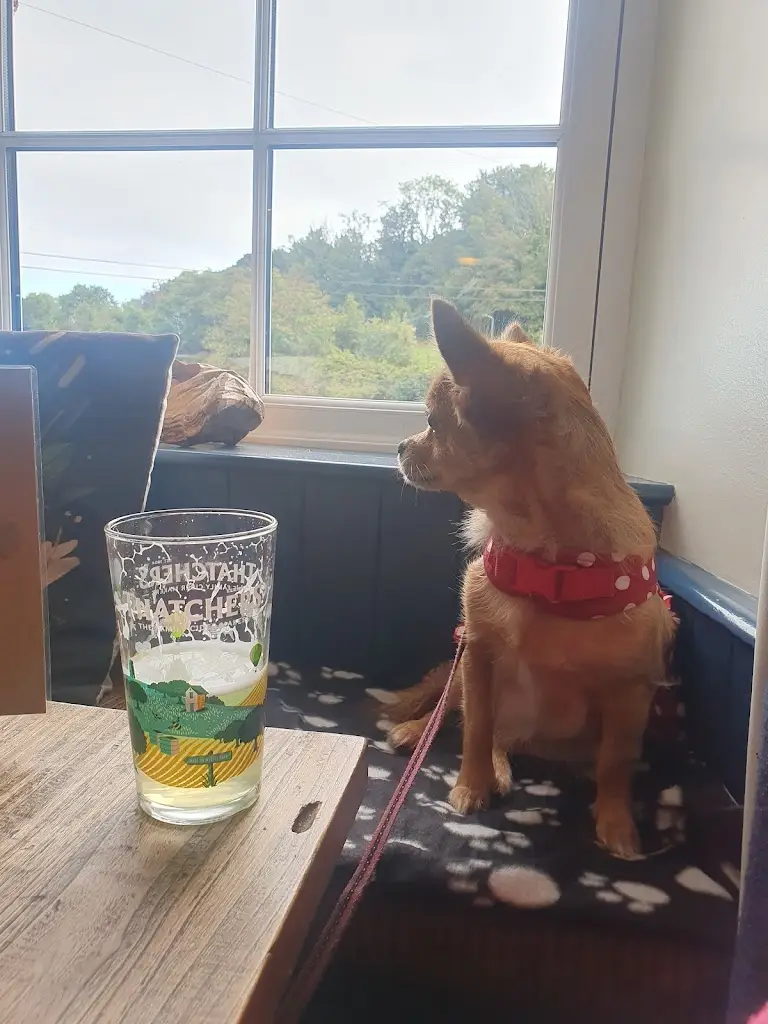 Mel Wildman_The Wilcove Inn_Torpoint_review