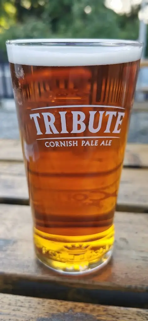 Menu_The Carew Arms_Torpoint_image_5