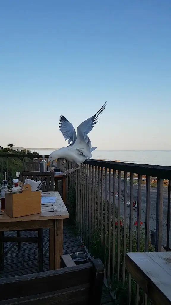 Inn On The Shore_Torpoint_slider_image_2