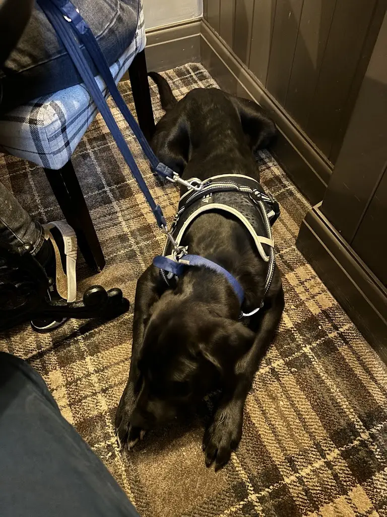 Anthony Keane_The Lord Nelson_Thirsk_recensione