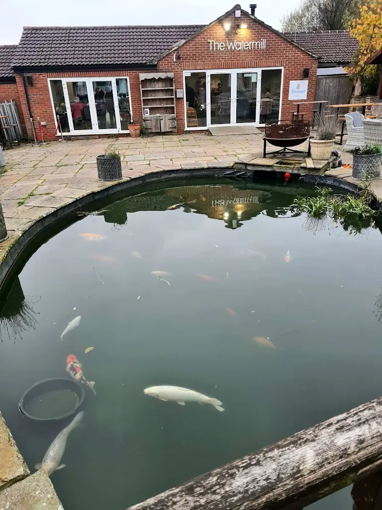 Louise McMorran_The Watermill Bar and Grill_Thirsk_recensione