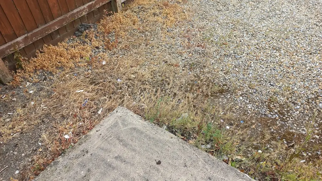 Ryan Hall_The Vale of York_Thirsk_recensione