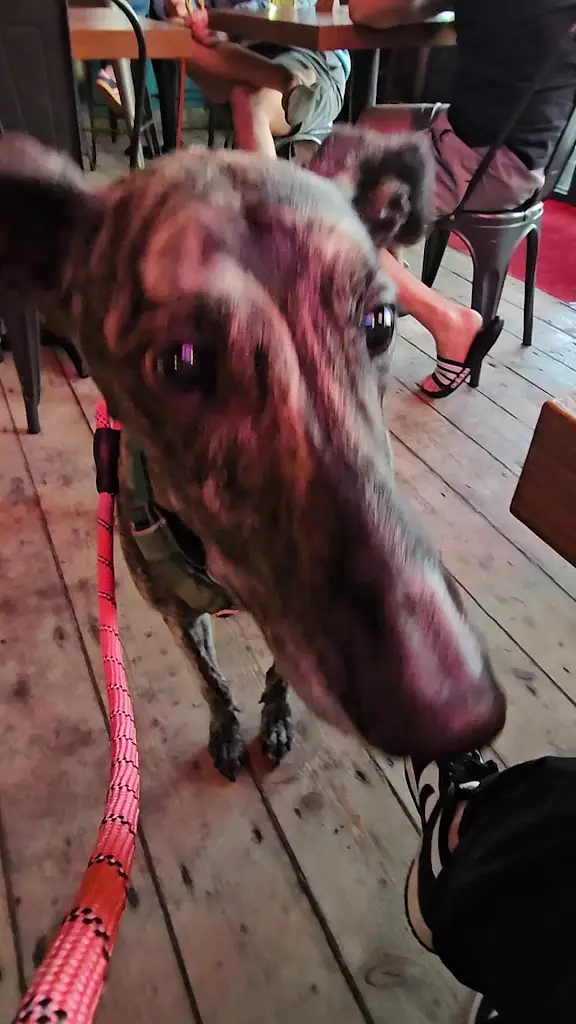 Louise Miller_Surfers Tynemouth_Tynemouth_review