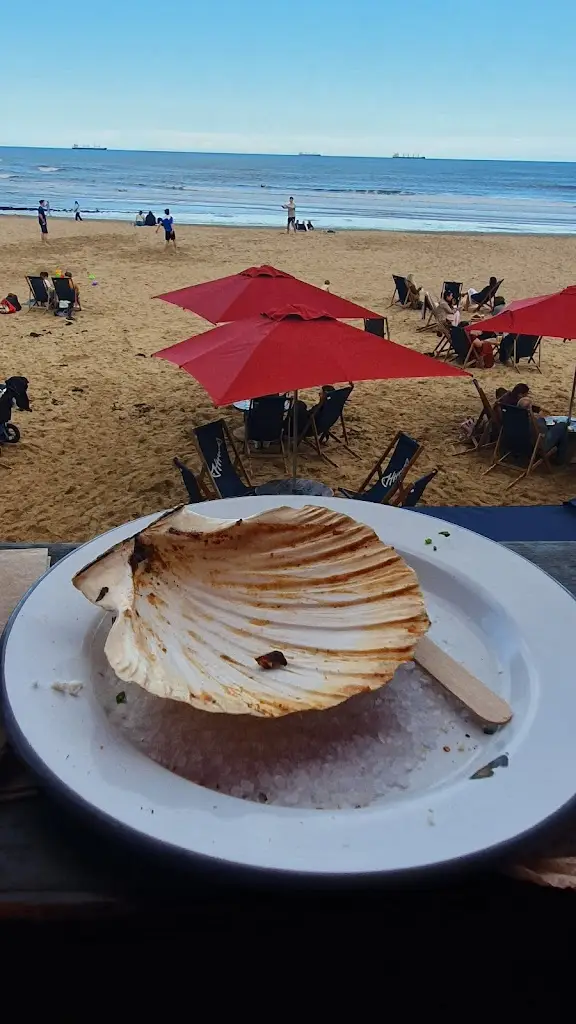 Saj1706_Riley's Fish Shack_Tynemouth_review