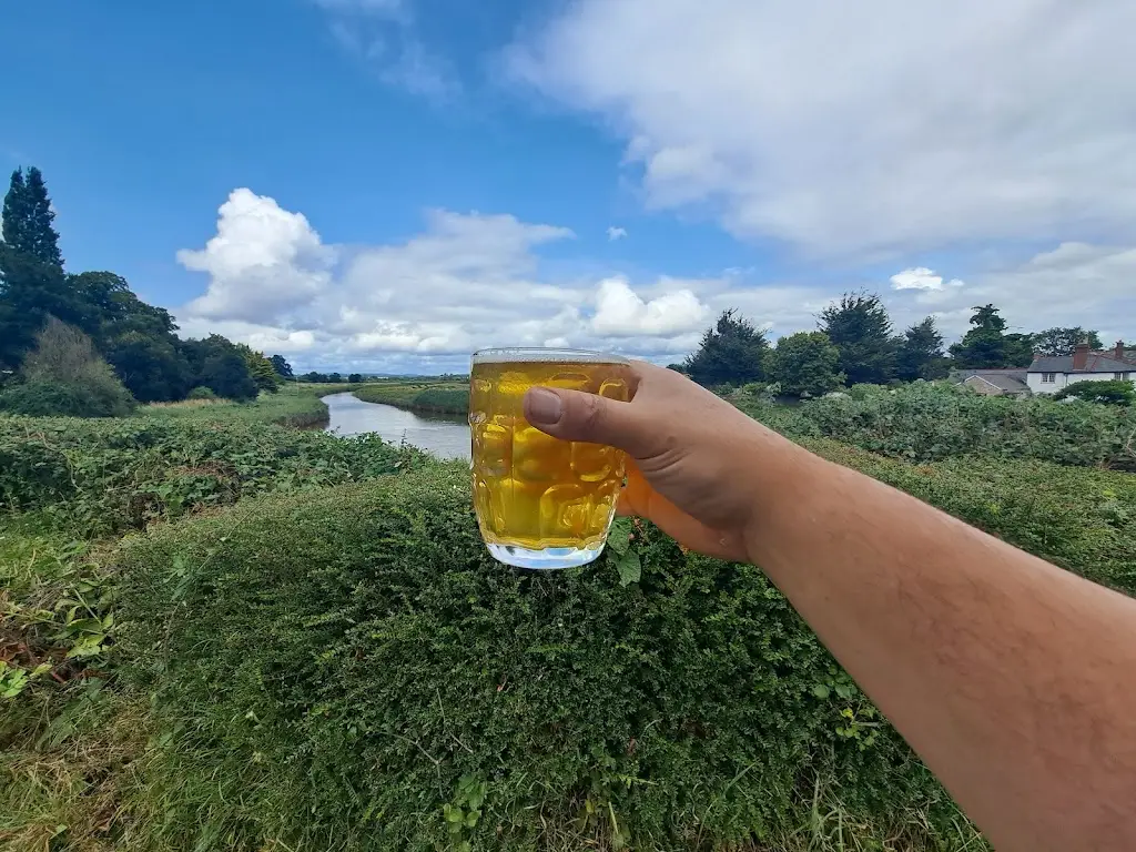 Tom Hami_Bridge Inn_Topsham_review