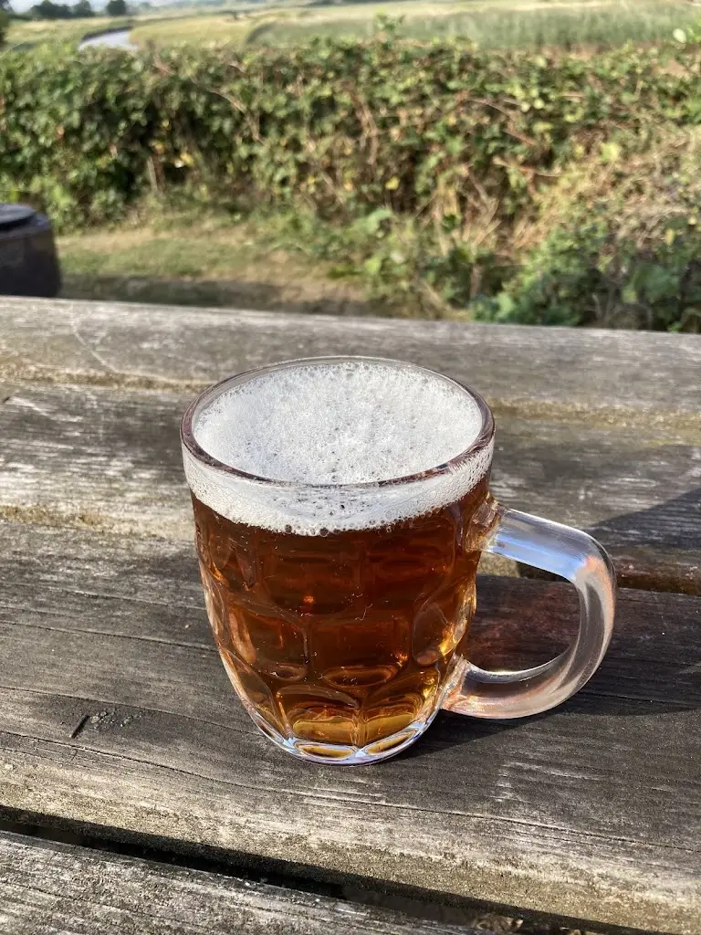 Richard Allan_Bridge Inn_Topsham_review