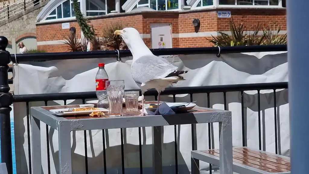 Besty & Spinkys_Ventnor_slider_image_2