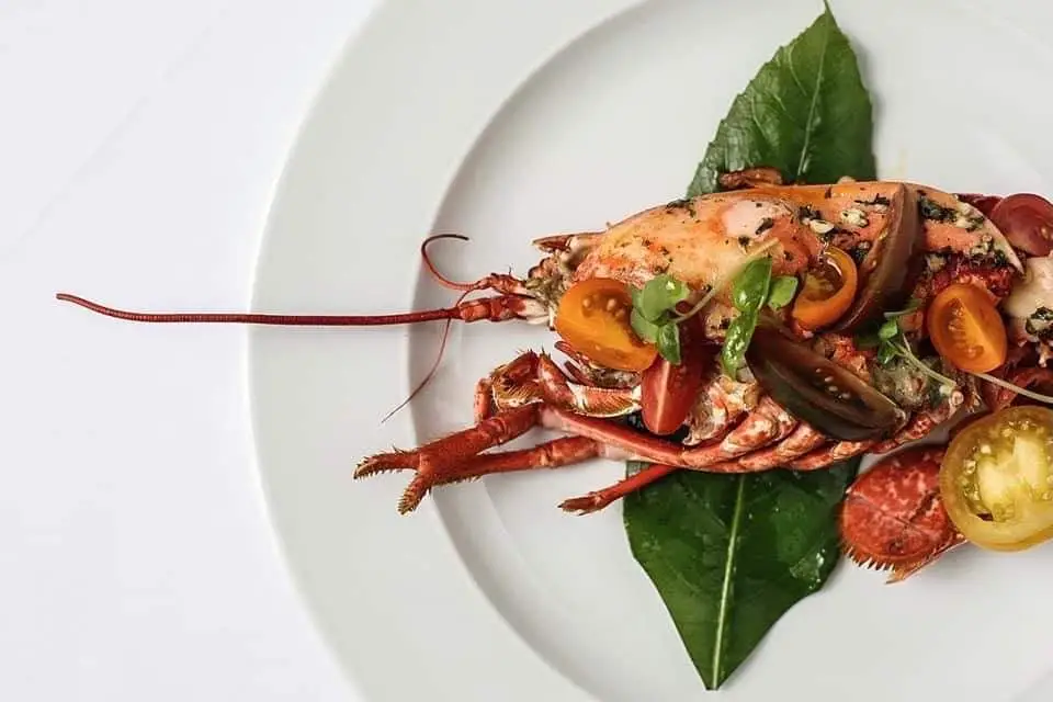 True Food Kitchen_Ventnor_slider_image_3