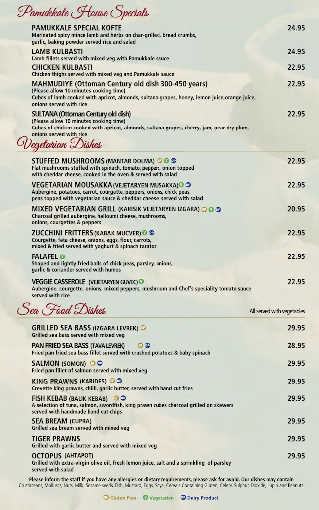 Menu_Pamukkale Restaurant_Beighton_image_2